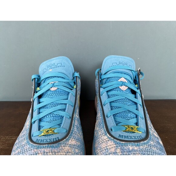 Nike LeBron 20 XX \
